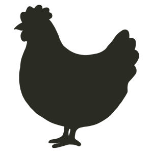 Silhouette of a hen.
